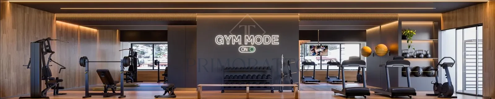 Academia